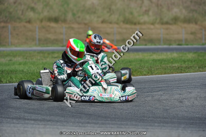 DSC_ (1382).JPG